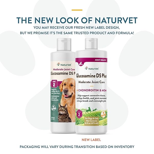 NATURVET GLUCOSAMINE DS PLUS HIP & JOINT SUPPORT LIQUID PET SUPPLEMENT – LEVEL 2 MODERATE CARE FOR DOGS & CATS – INCLUDES GLUCOSAMINE, MSM, CHONDROITIN – 16 OZ