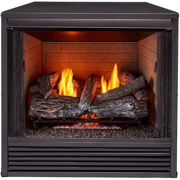 Amazon.com: ProCom FIB100 Dual Fuel Fireplace Blower, Large, Black, Silver  : Home u0026 Kitchen