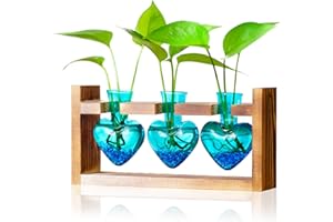Nacome Plant Terrarium for Office Decor: Birthday Gifts for Plant Lovers Women Mom Wife - Wooden Stand Tabletop Planter 3 Bulb Glass Vase Heart Shaped for Hydroponics Indoor Home