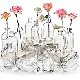 YOUEON 16 Pack Living Bud Vases, Clear Glass Flower Vase, 8 Oz Decorative Glass Bottles, Glass Vase, Centerpiece for Home Dec