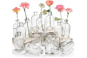 YOUEON 16 Pack Clear Glass Bud Vases, Small Bud Vases in Bulk, Glass Flower Vases for Centerpieces, Vintage Decorative Bottle