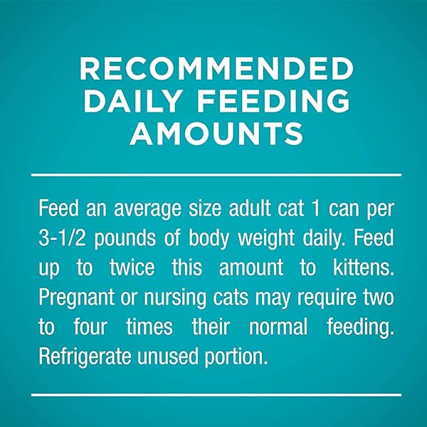 PURINA ONE SMART BLEND CAT TENDER TURKEY FOOD, 24 BY 3 OZ.