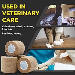 OK TAPE 12 Rolls Self Adhesive Bandage