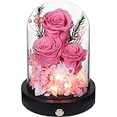 Pinnetetti Forever Flowers Gifts for Women,Preserved Roses in Glass Dome, Eternal Flowers for Delivery Prime, Real Pink Roses,Anniversary Birthday Valentines Day Gifts for Wife Her