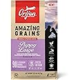 ORIJEN Amazing Grains Puppy Large Dry Dog Food, High Protein Dog Food for Large and Giant Puppy Breeds, Fresh or Raw Ingredients, 22.5lb