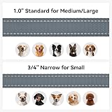 Joytale Padded Handle Dog Lead Double-Sided Reflective Nylon 1.8 m 2 cm Grey view 6
