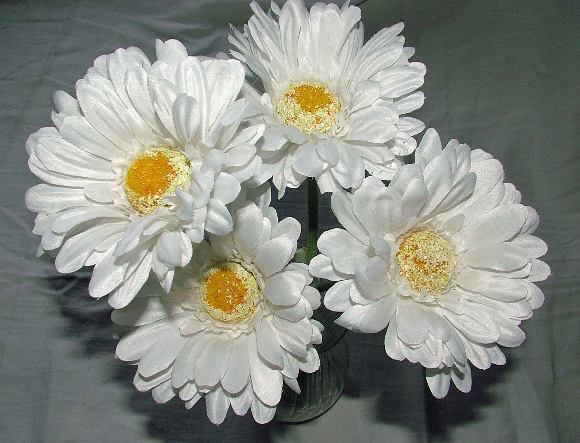 Artificial Single Stem Gerbera with Big Bloom - very dramatic - home garden (12 Pack, White)