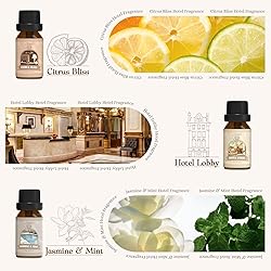 SALUBRITO Hotel Fragrance Oil Set, Luxury Essential