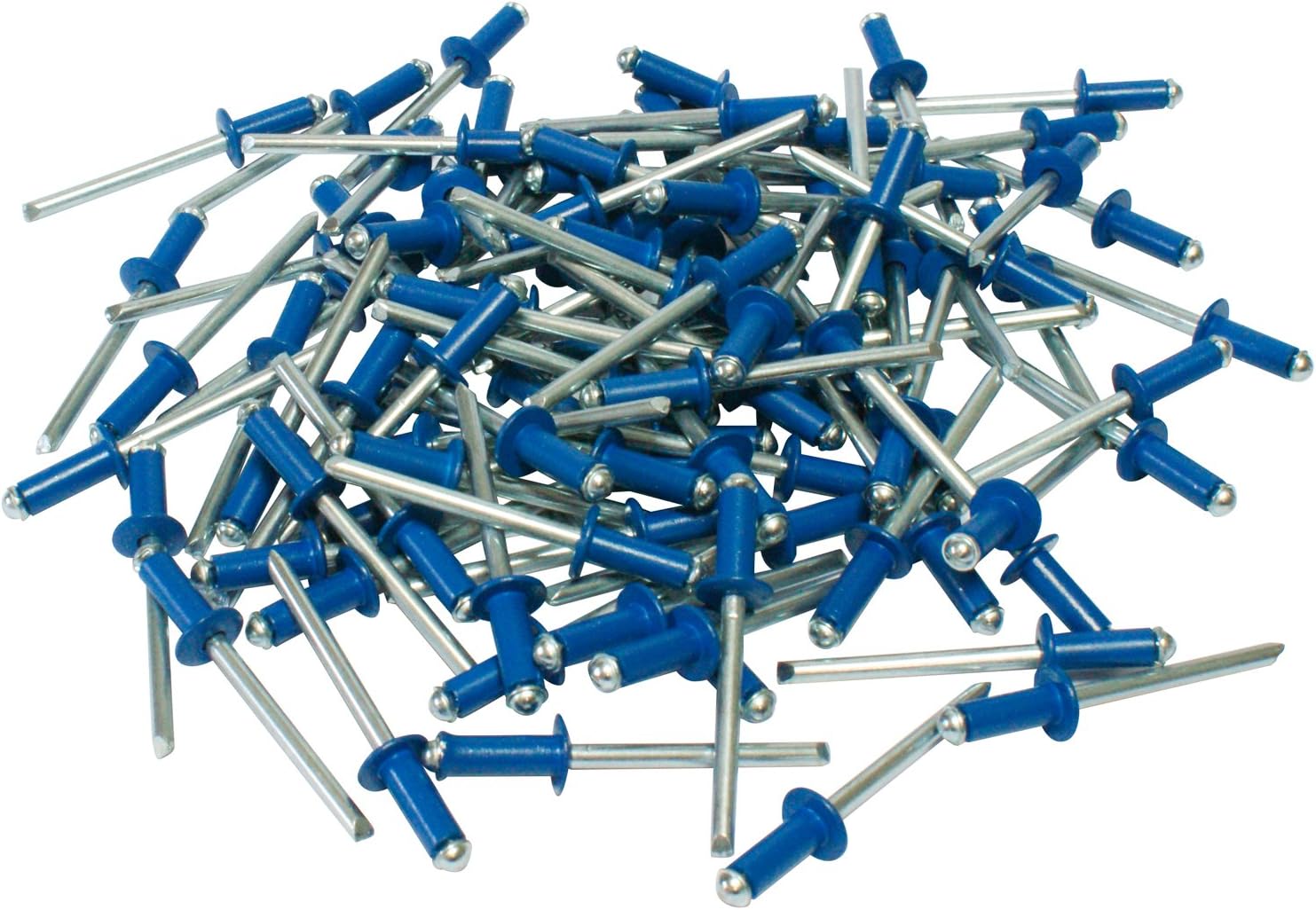 E621 Corablue