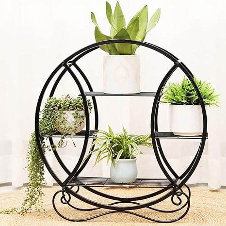 Amazon.com : Round Floating Shelves 