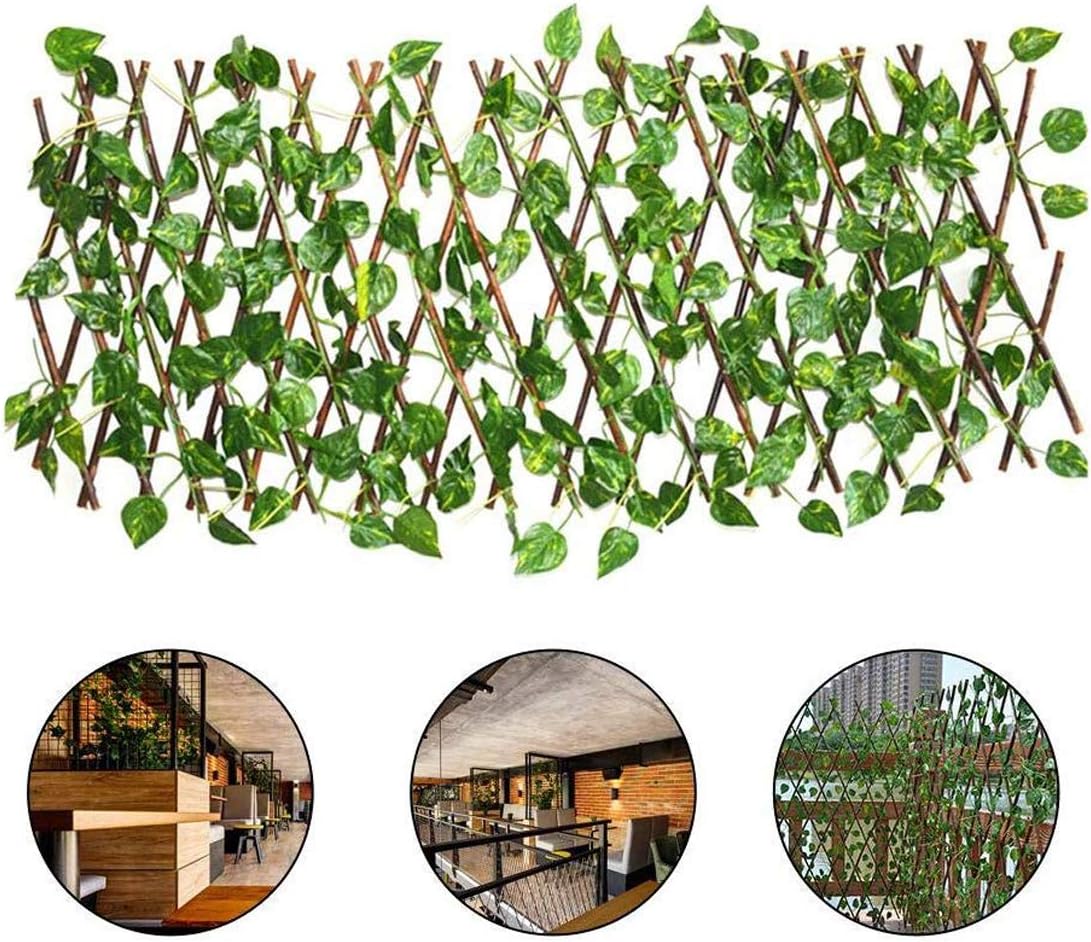 9 Mejores Puertas Plegables De Madera Con Celosia | (2020)