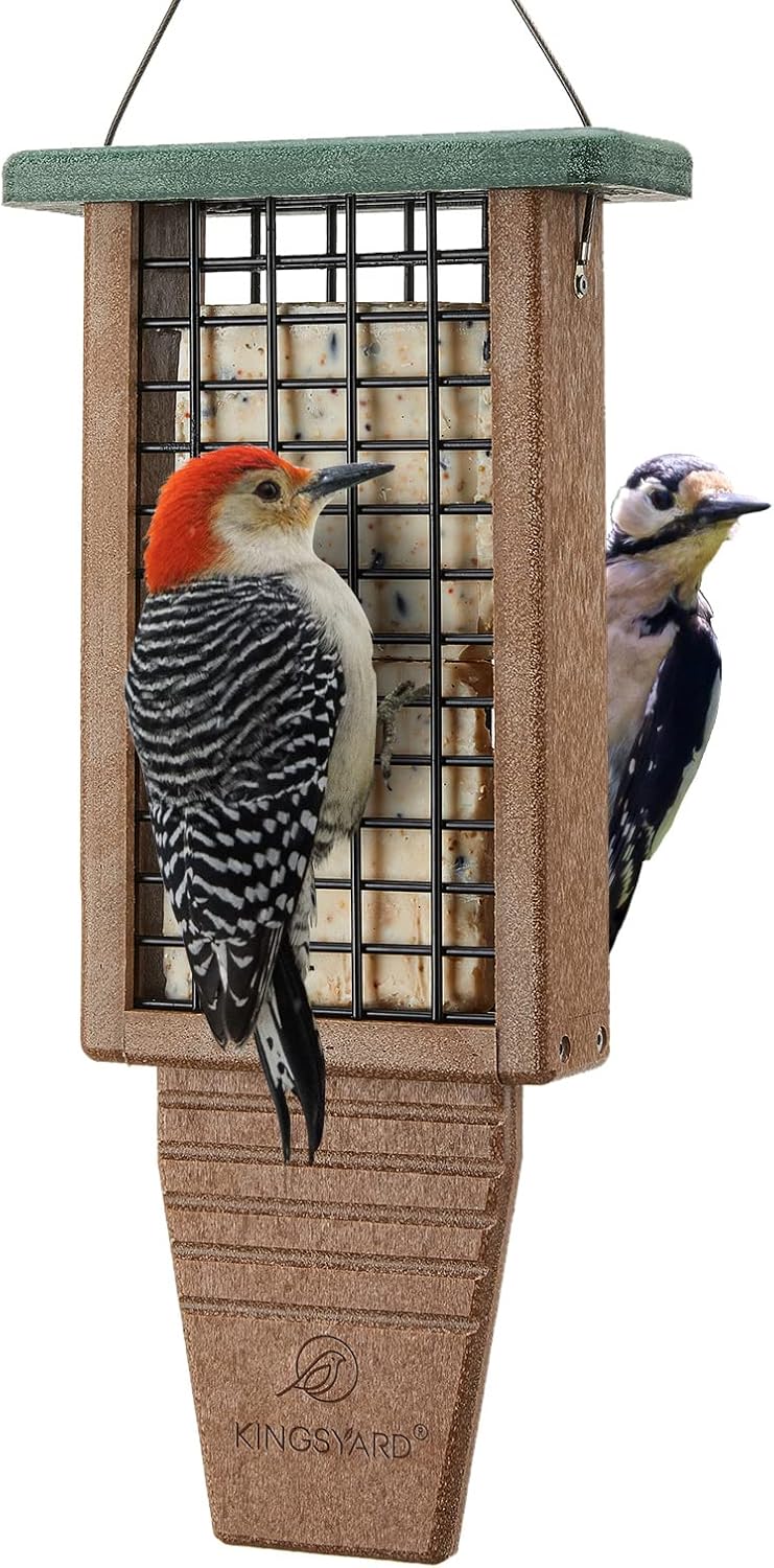 Backyard Birding & Wildlife - Kingsyard Recycled Plastic Suet Bird Feeder, Double Capacity Tail-Prop Suet Feeder for Outside Hanging, Sturdy & Durable, Great for Woodpecker & Clinging Birds, Green