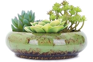 VanEnjoy 7.3 inch Round Large Shallow Succulent Ceramic Glazed Planter Pots with Drainage Hole, Bonsai Pots Garden Decorative Cactus Stand Flower Container (green)