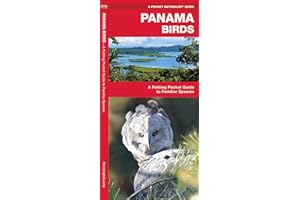 Panama Birds