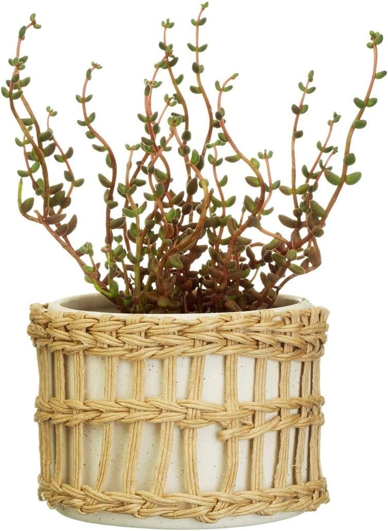 Sass & Belle Speckled White & Woven Planter, Brown