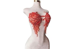 ESOSZNUA Trimimg Patches Pure Handmade with Glass Rhinestones Beads sew on Applique for Dress Chest Decorative Accessories 17X13inches (Red)