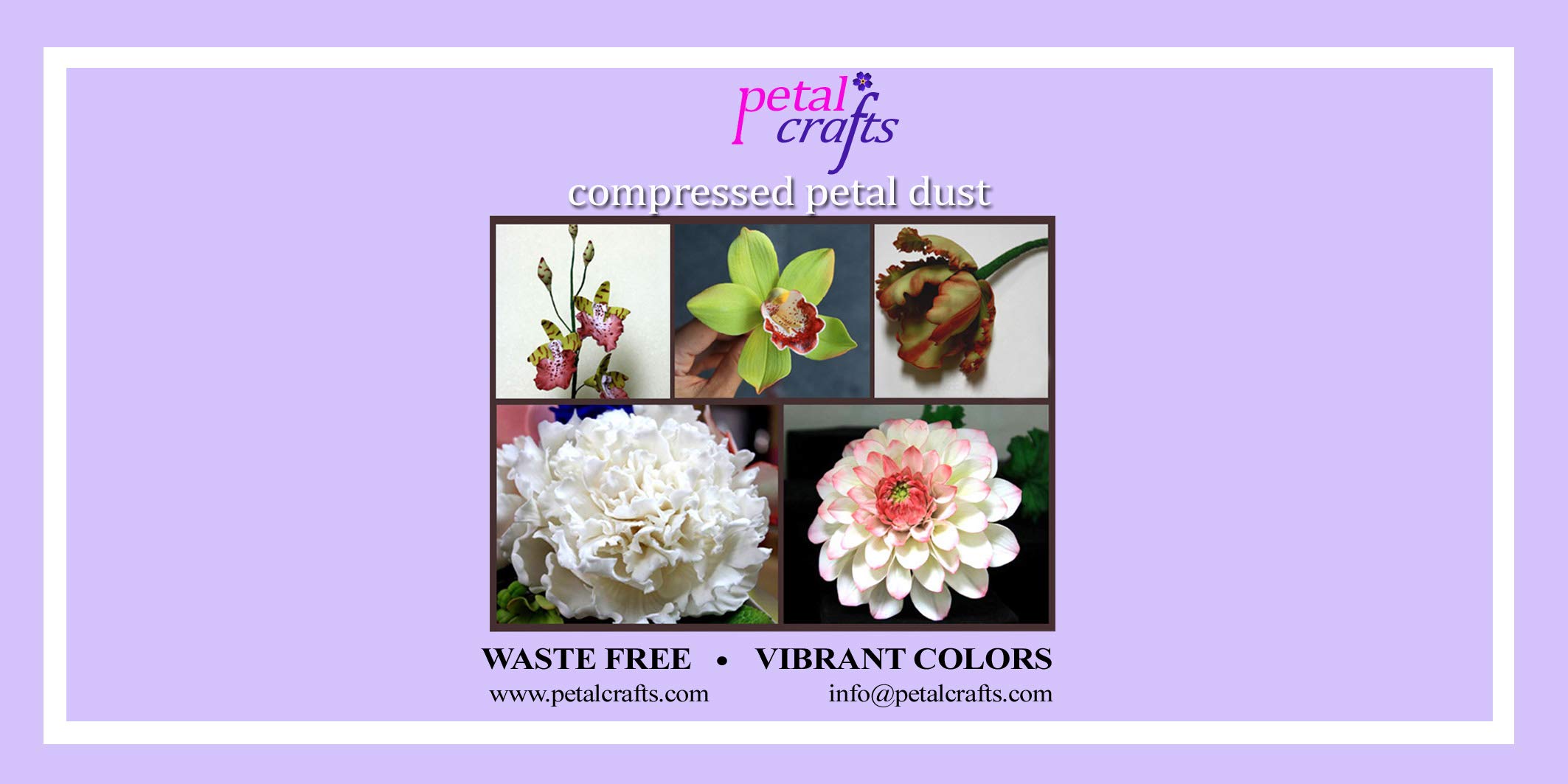 Photo 1 of Petal Crafts 24 Color Palette Petal Dust (Set A)