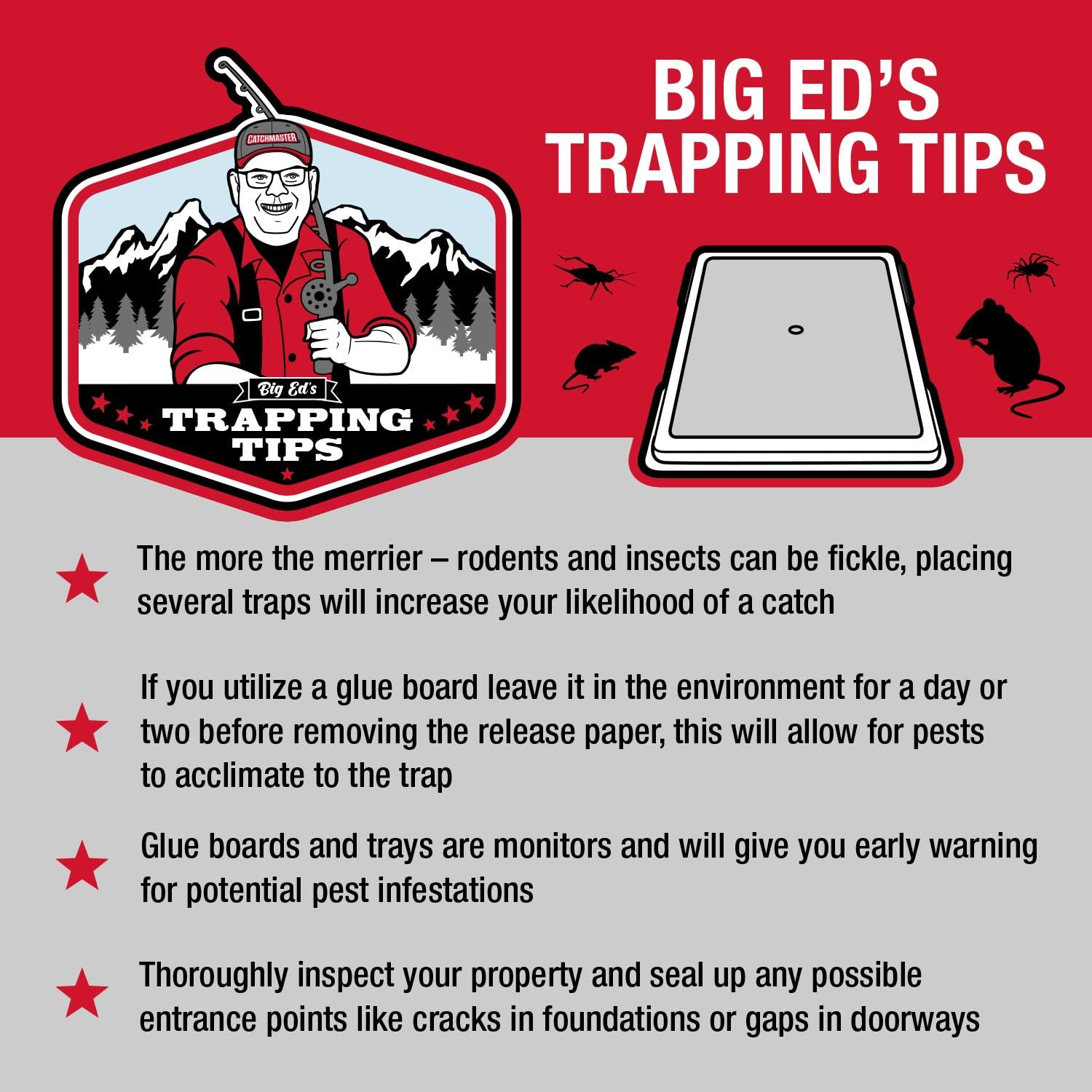 30 Brown Recluse Spider Traps (non-toxic) : Garden & Outdoor