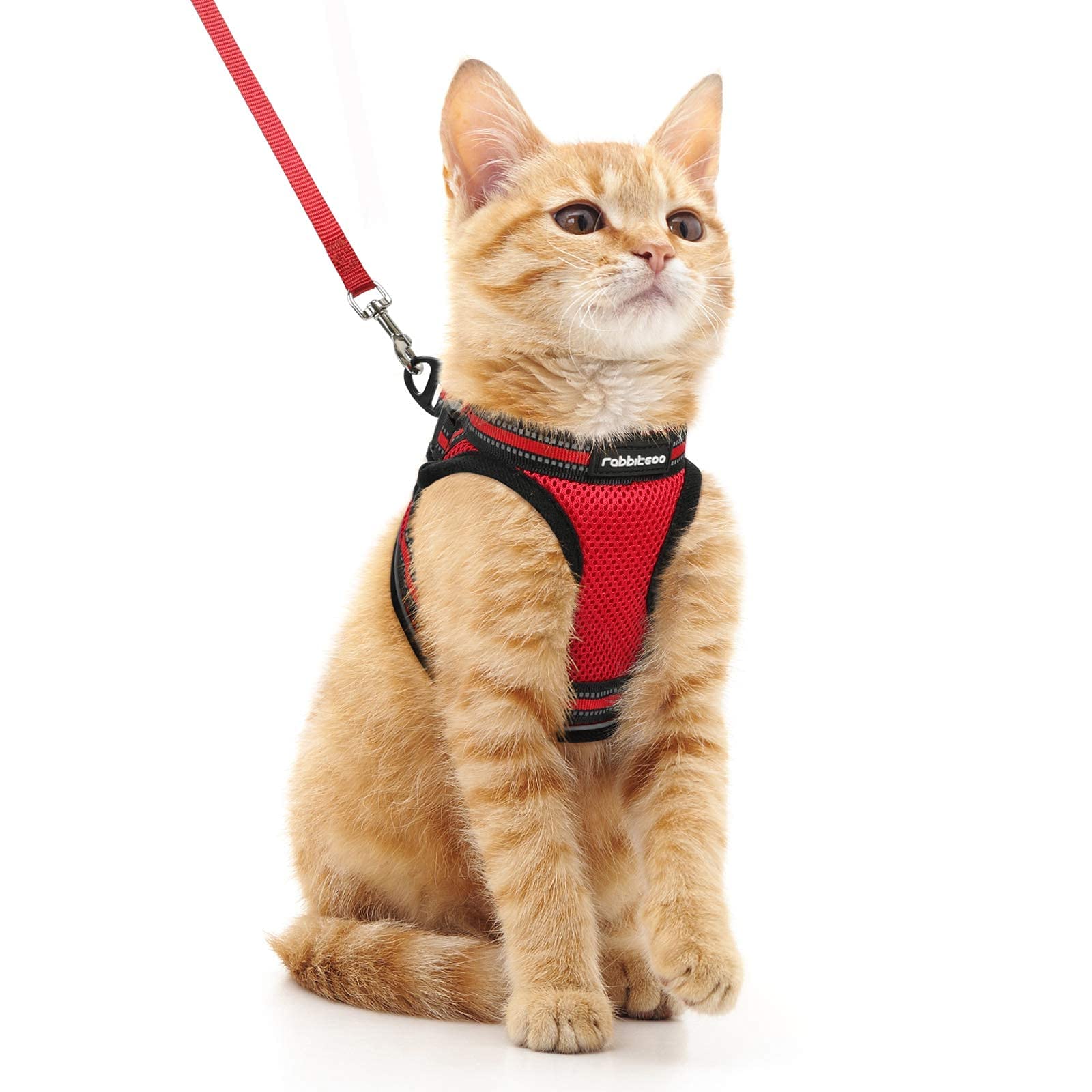 rabbitgoo Cat Harness and Leash Set for Walking Escape Proof, Adjustable Soft Kittens Vest with Reflective Strip for Extra Small Cats, Comfortable Choke-Proof Outdoor Vest Harness, Red, M