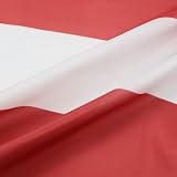 AZ FLAG Latvia Flag 3x5 Ft 100D Polyester with 2 Brass Eyelets Fade Resistant view 3