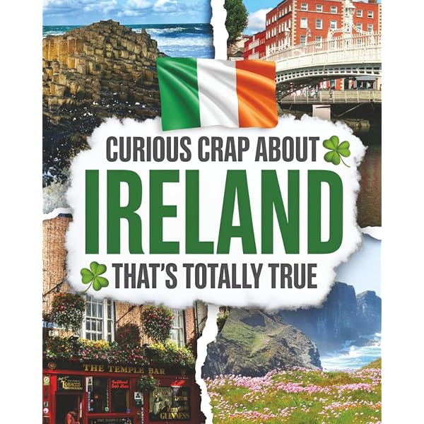 The Story We Carry In Our Bones: Irish History For Americans – Juilene Osborne-Mcknight (Trade Paperback)