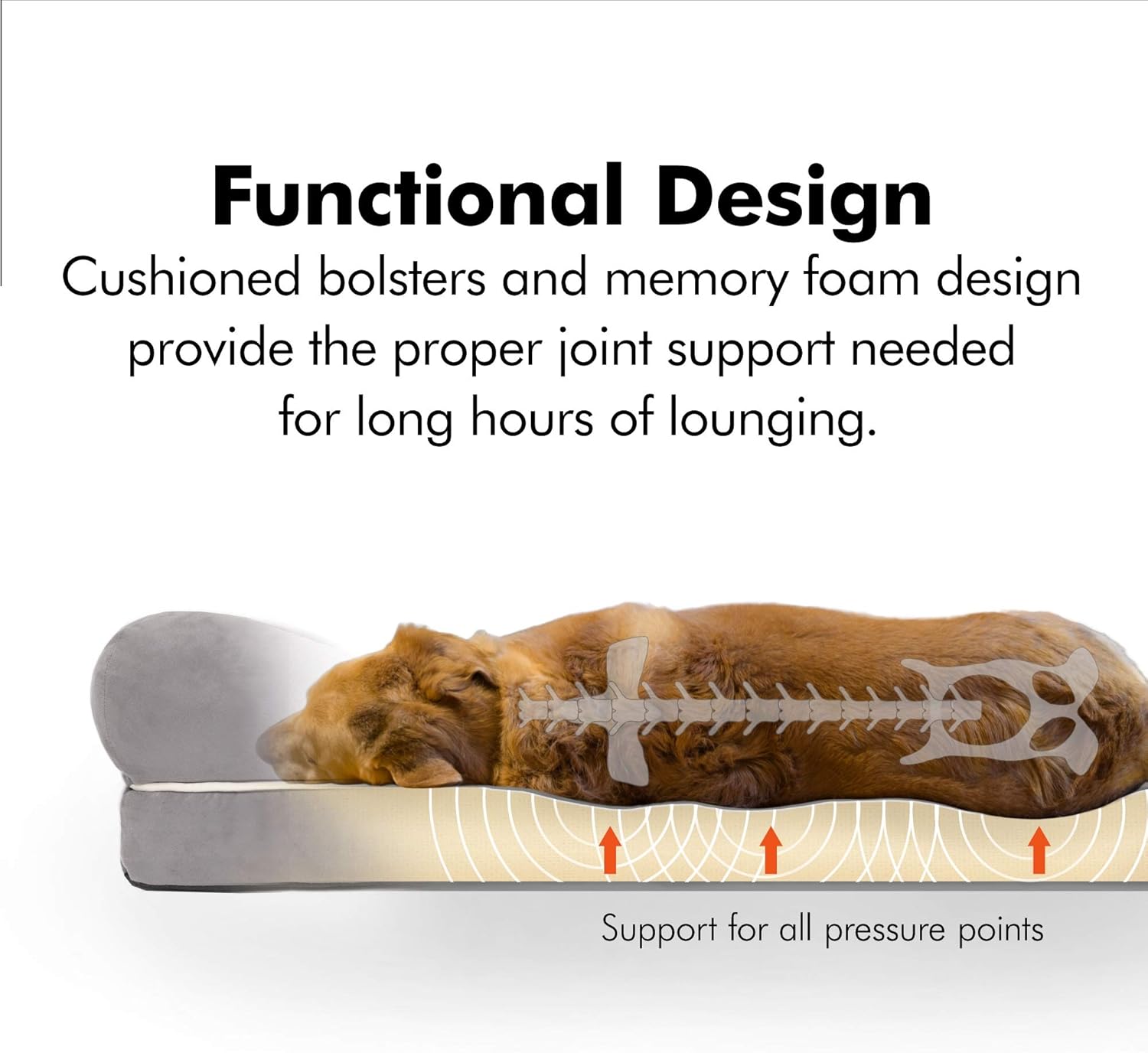 Friends Forever Orthopedic Dog Bed Memory Foam | Bolster Dog Couch Pet Sofa Beds with 100% Suede Removable Cover 4" Mattress Memory-Foam Chew Proof Durable | Size Large 36"x28"x9" Cocoa Brown : Pet Supplies