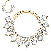 FUNLMO 316L Surgical Steel Septum Ring Daith Piercing Jewelry Nose Ring Hoop Tragus Helix Rook Piercing Jewelry Cartilage Earrings For Women Men