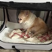 mool lightweight fabric pet carrier