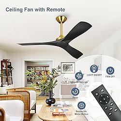 BvenuBigLite Modern Ceiling Fan with Remote: Black