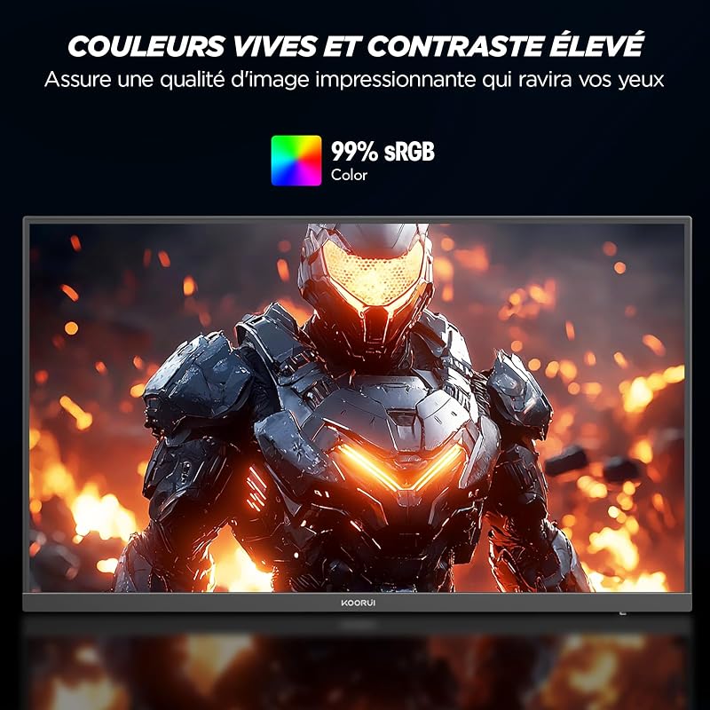 Ecran PC Gamer 24 Pouces, 170Hz FHD Adaptive Sync HDMI 1.4 VESA
