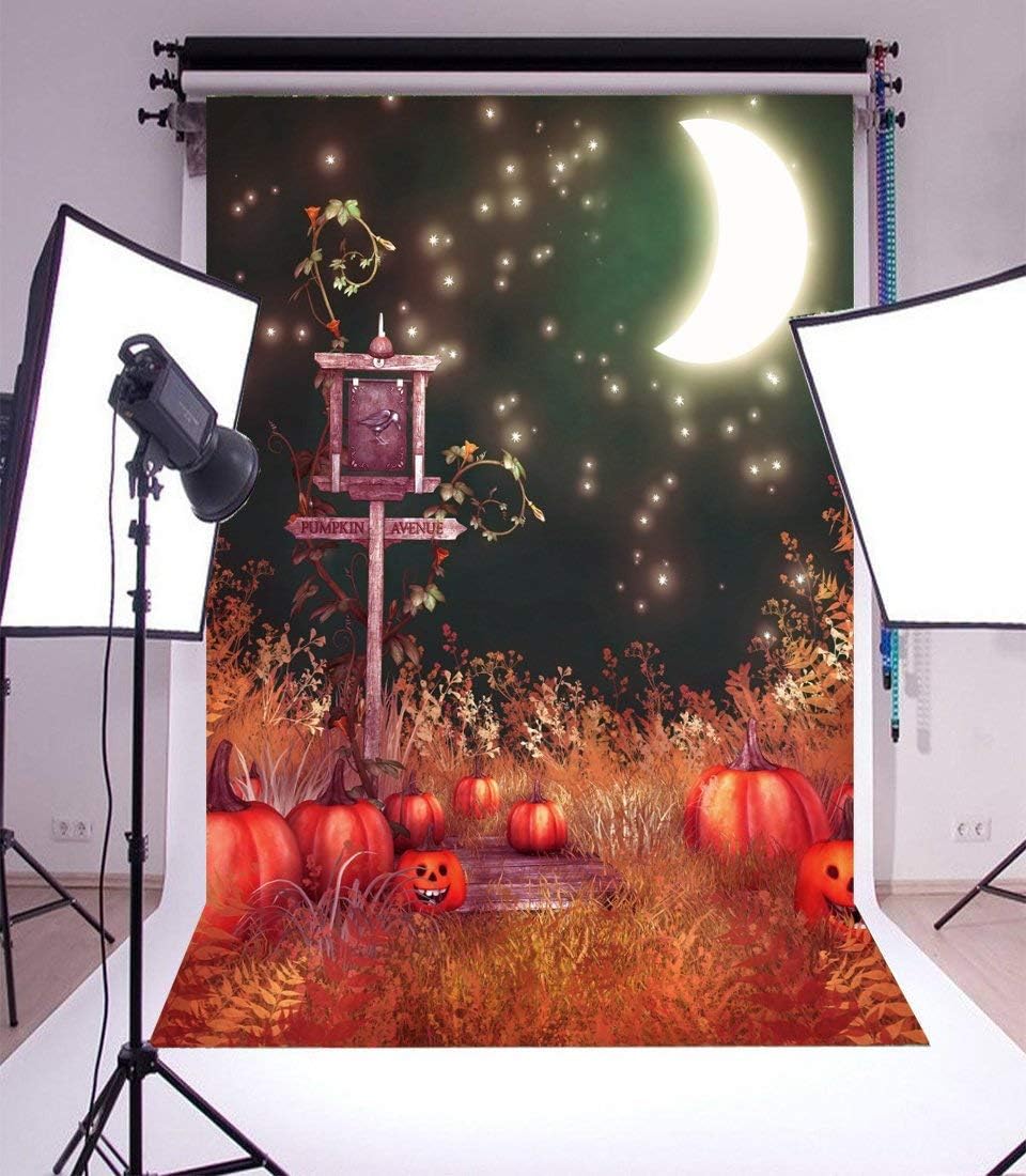 Vinyl Thin Backdrop 5x7FT Photography Background Happy Halloween Road Lamp Avenue Guidepost Pumpkins Grimace Moon Elf Spirit Soul Quiet Night Scene Background 1.5(W) x2.2(H) m Photo Studio Props