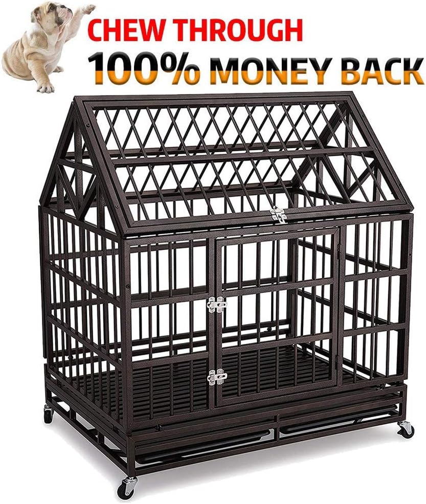 are pomeranian shih tzu hypoallergenic