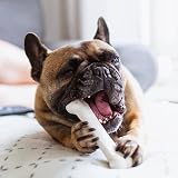 Nylabone Dura Chew Extreme Chicken Flavour Dog Toy Bone M for Dogs Up to 16 kg view 2