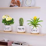 TuDou Best Mum Ever Ceramic Succulent Pot Gift Boxed view 2