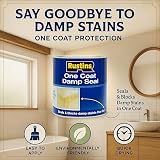 Rustins Damp Seal Paint 250ml Water-Resistant Primer for Walls Ceilings view 3