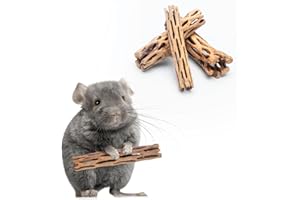 SubstrateSource Natural Cholla Wood - Driftwood for Aquariums, Air Plant Base, Hermit Crab and Freshwater Shrimp Hideout, Fish Tank Decoration, Chinchilla Chews, Reptile Habitat Wood - 6 Inch, 2pc