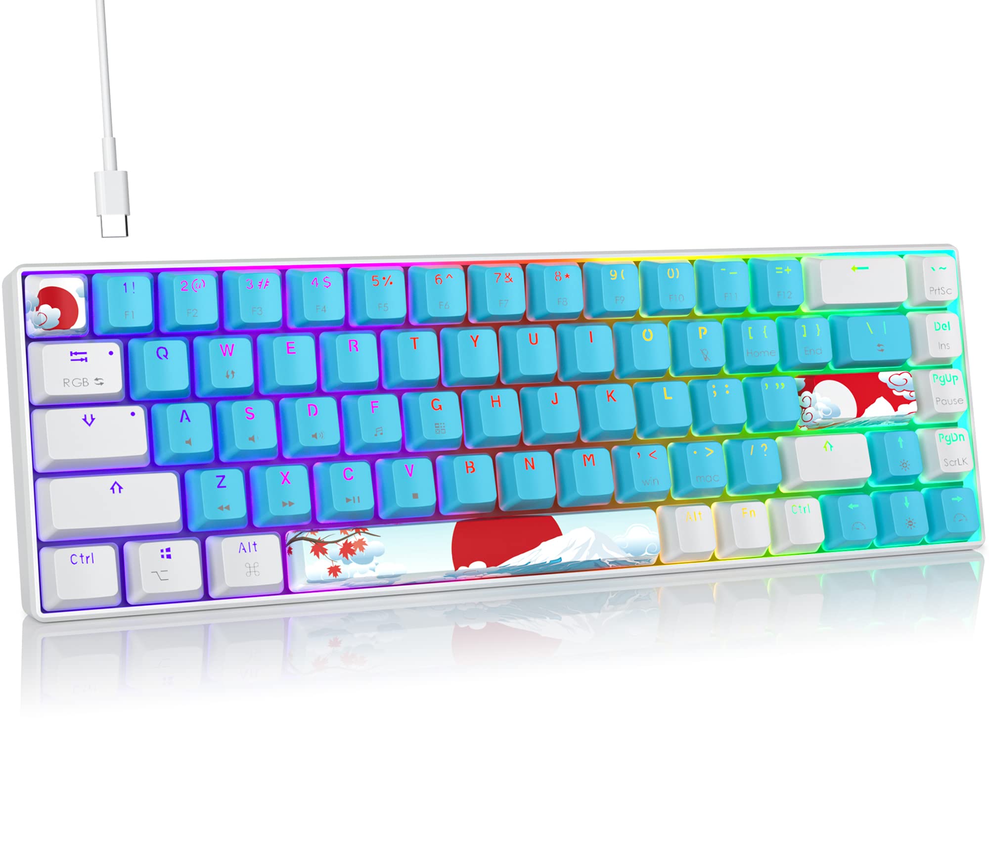 Fogruaden Wired 65% Percent Mechanical Keyboard,RGB Backlit Ultra-Compact 68 Keys Gaming Keyboard with Stand-Alone Arrow/Control Keys (Red Switch,Blue)