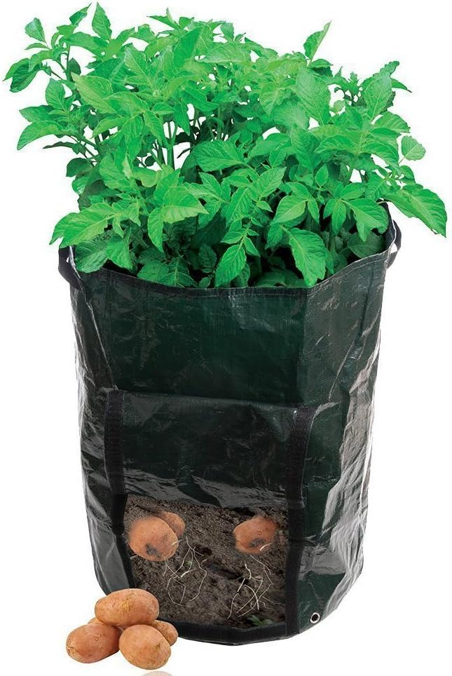 AmgateEu 2-Pack Garden Potato Grow Bag Vegetables Planter Tub with Access Flap for Harvesting ~ Eco-Friendly Waterproof Pe