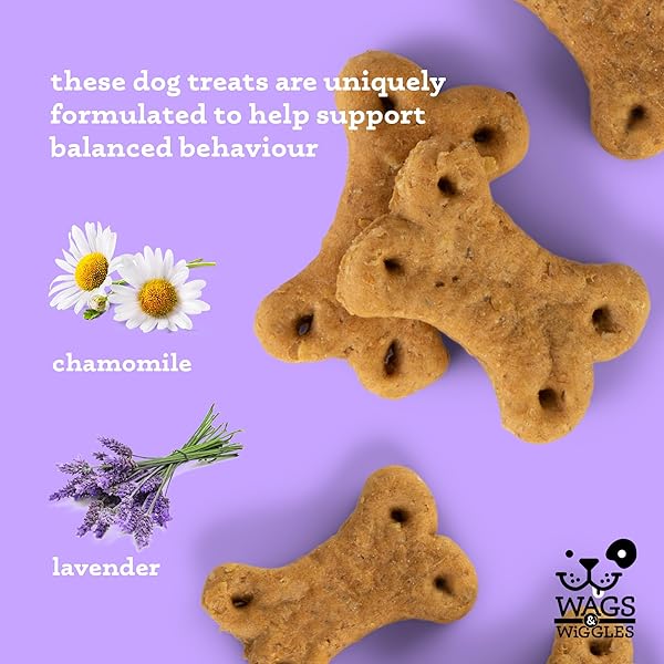 WAGS & WIGGLES SIMMER DOWN CALMING TREATS FOR DOGS, CHICKEN FLAVOR, 5.5 OZ RESEALABLE BAG | HELPS MAINTAIN RELAXATION | FUNCTIONAL TREATS FOR DOGS WITH LAVENDER AND CHAMOMILE