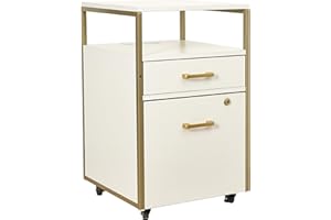 TECHNI MOBILI Modern 2-Drawer Rolling File Cabinet with Lock, 2 USB Ports and Power Outlet for Device Charging, Portable File Organizer or Printer Stand for Office or Home with Locking Wheels, White & Gold