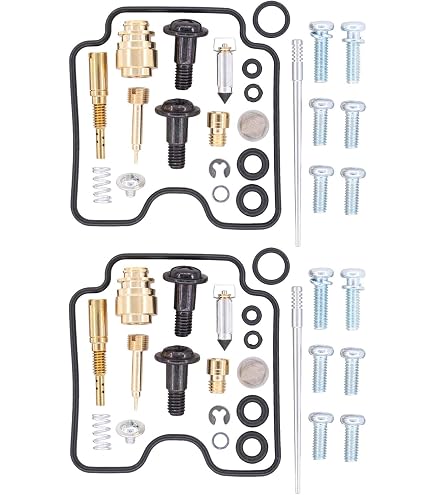 2X For Yamaha XVS1100 1999-2007 V-Star XVS 1100 Carburetor Repar Kt