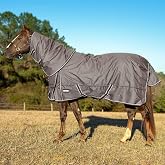 Jeffers Poplar Head Defense 1680 Denier Turnout Blanket with Detachable Neck -Plymouth Brown, 66"- Waterproof, Breathable Horse Blanket with 360g Polyfill, Ideal Protection for Winter, Heavyweight