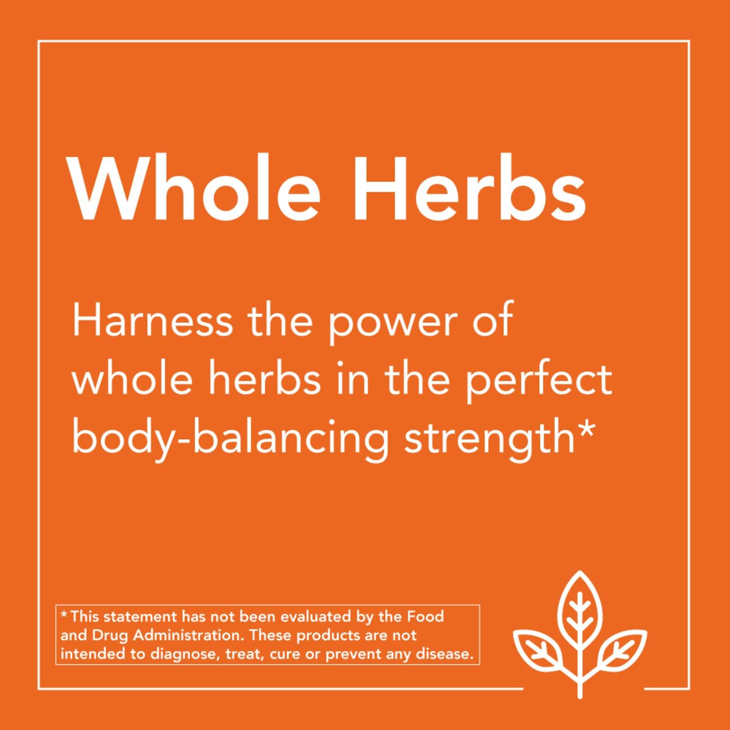 NOW Supplements, Liver Refresh with Milk Thistle Extract and unique Herb-Enzyme blend, 180 Veg Capsules: Health & Personal Care