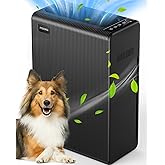 Air Purifiers for Home Large Room up to 2000ft², H13 HEPA Air Filter for Pets Hair Dander Smoke Pollen Dust, Non-Ozone, Portable Air Purifiers for Bedroom Office Living Room, E-300L(Black)