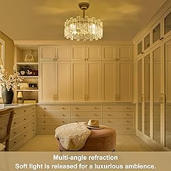 Crystal Chandelier Fan Caged Ceiling Fan with Light