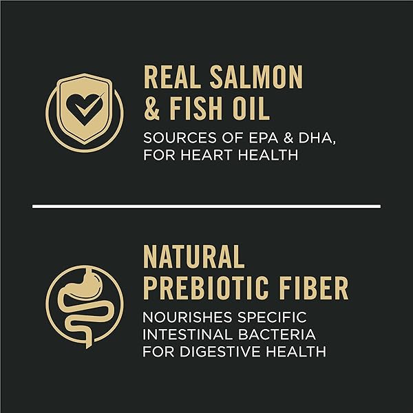 PURINA PRO PLAN SENSITIVE SKIN AND STOMACH DRY DOG FOOD SENIOR ADULT 7 PLUS SALMON AND RICE FORMULA – 4 LB. BAG