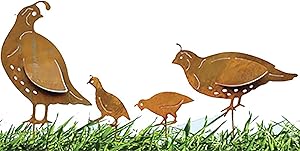 California Home and Garden CH507Z Metal Rustic Rust Set of 4 Quail Family Planter Pick, 14-Inch x 7-Inch Wide, 7 Inch Tall, Brownish Red