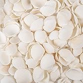 WeDoSoy Natural Tiny Sea Shells Small White Clam Shells for Crafts Bulk for Home Decorations, Beach Theme Party, Fish Tank Vase Filler, Bracelet Making Accessories