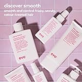 EVO Love Touch Shine Spray Hair Styling Mist Frizz Control High Shine 100mL view 6