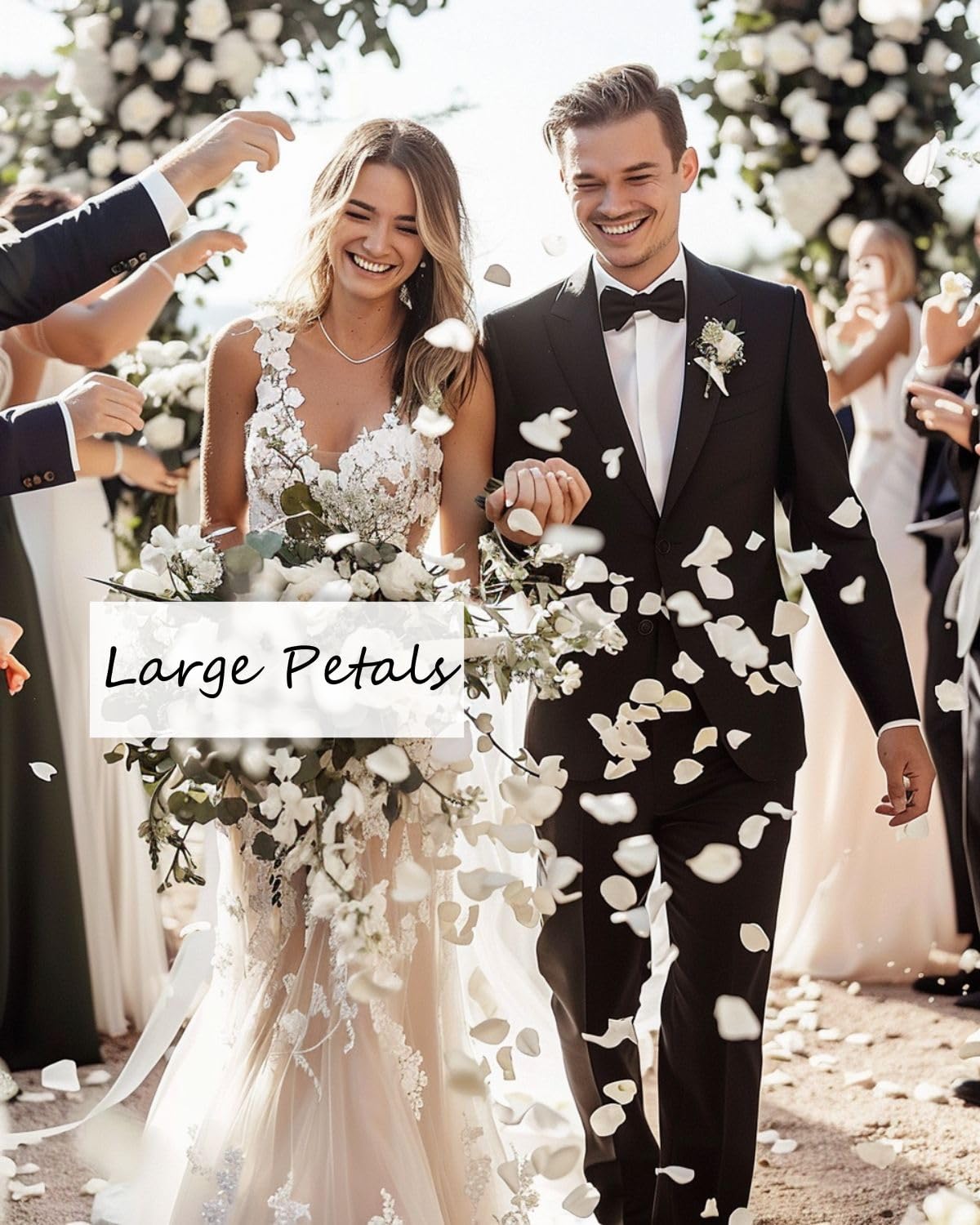 3.5oz REAL Rose Petals, Pearl White Freeze-Dried Petals Biodegradabel Wedding Natural Confetti, Perfectly Preserved Flower Petals for Table Decorations 100g